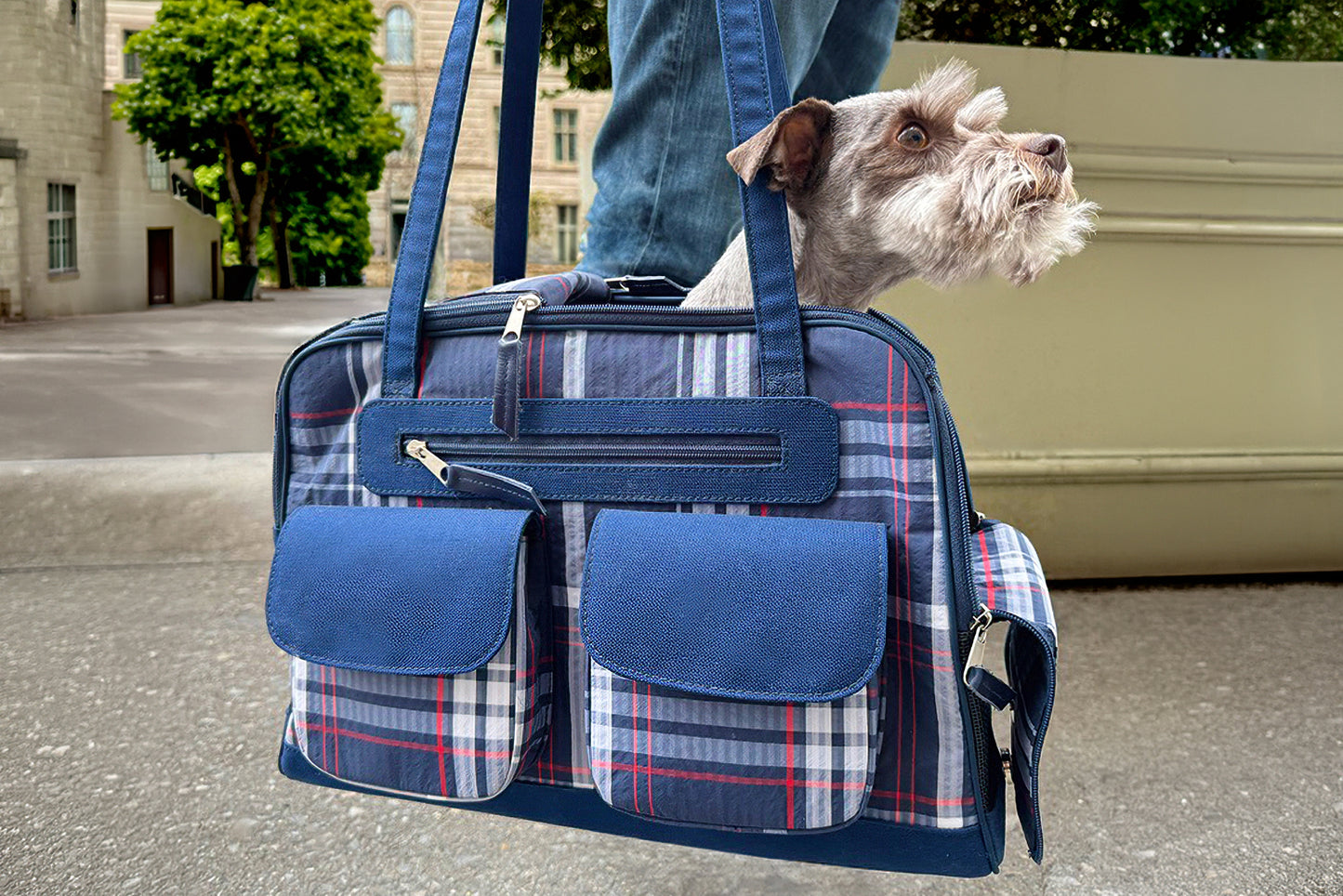 Dog peeking out from a plaid carrier with a person holding it, on a street.