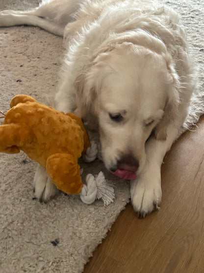 NEW - Thanksgiving - Turkey - Dog Toy
