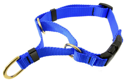 Cetacea Soft Martingale - Medium