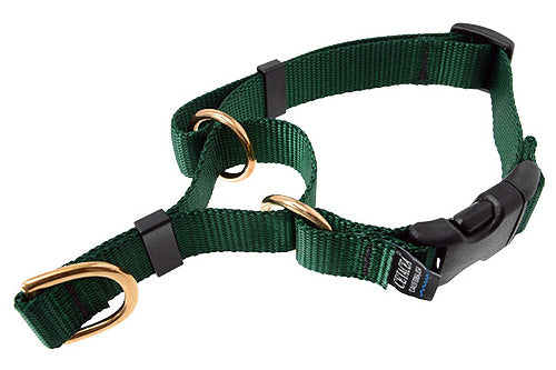 Cetacea Soft Martingale - Large