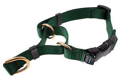 Cetacea Soft Martingale - Large