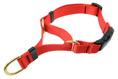 Cetacea Soft Martingale - Large