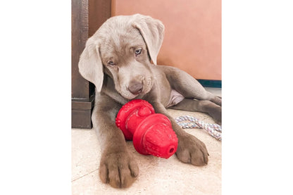 NEW - Dog Toy - The Hydrant - 2 Size Options