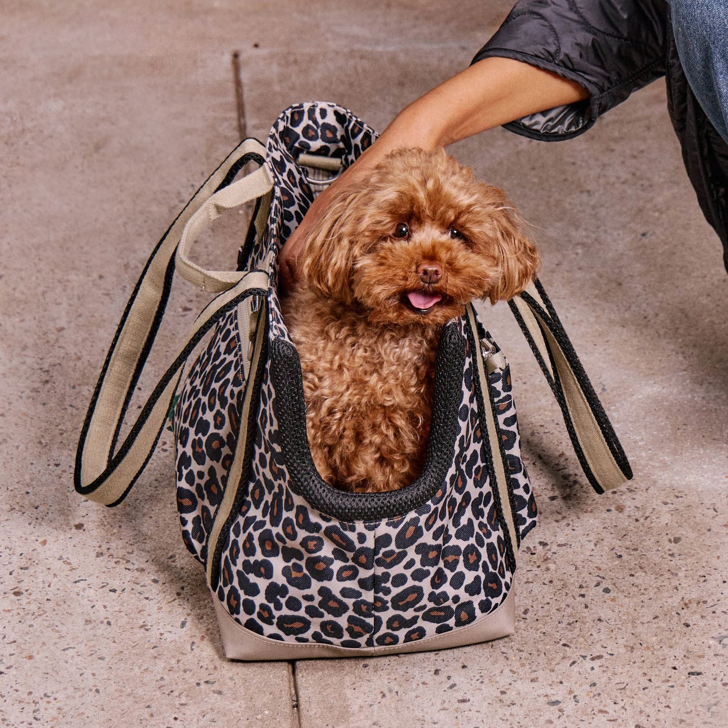 Leopard Transit Tote Dog Carrier - 2 Sizes