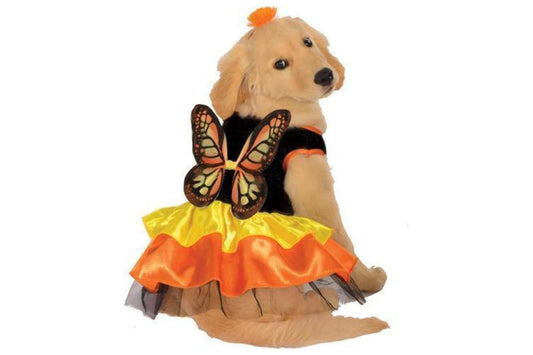 Dog Halloween Costumes | Monarch Butterfly