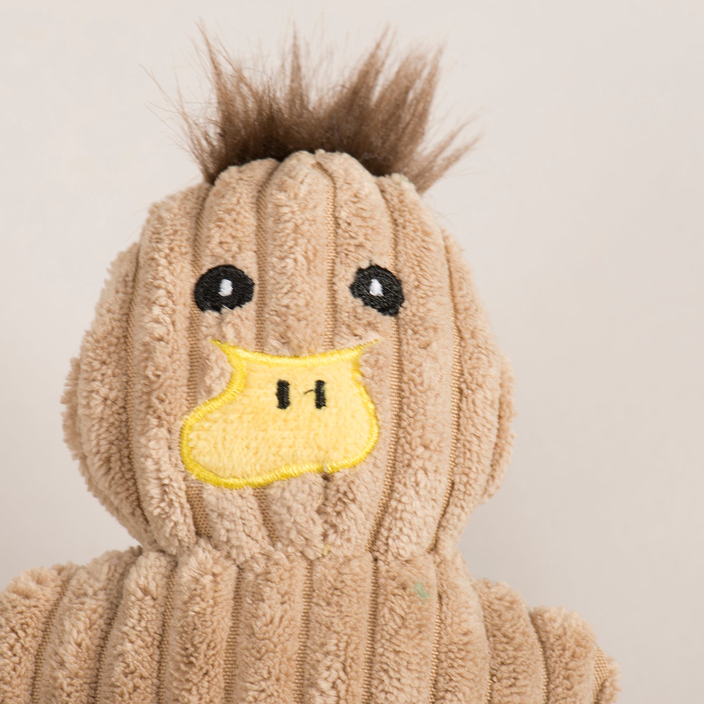 Blooming Barnyard Bunch Cookies - Dog Toy