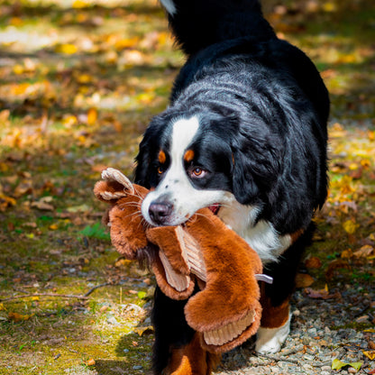 Dog Toy - Maple Moose X-Brace Durable Plush Dog Toy