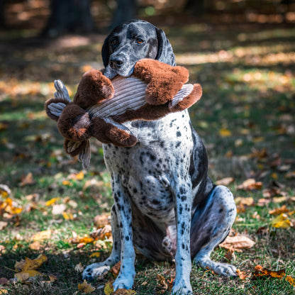 Dog Toy - Maple Moose X-Brace Durable Plush Dog Toy