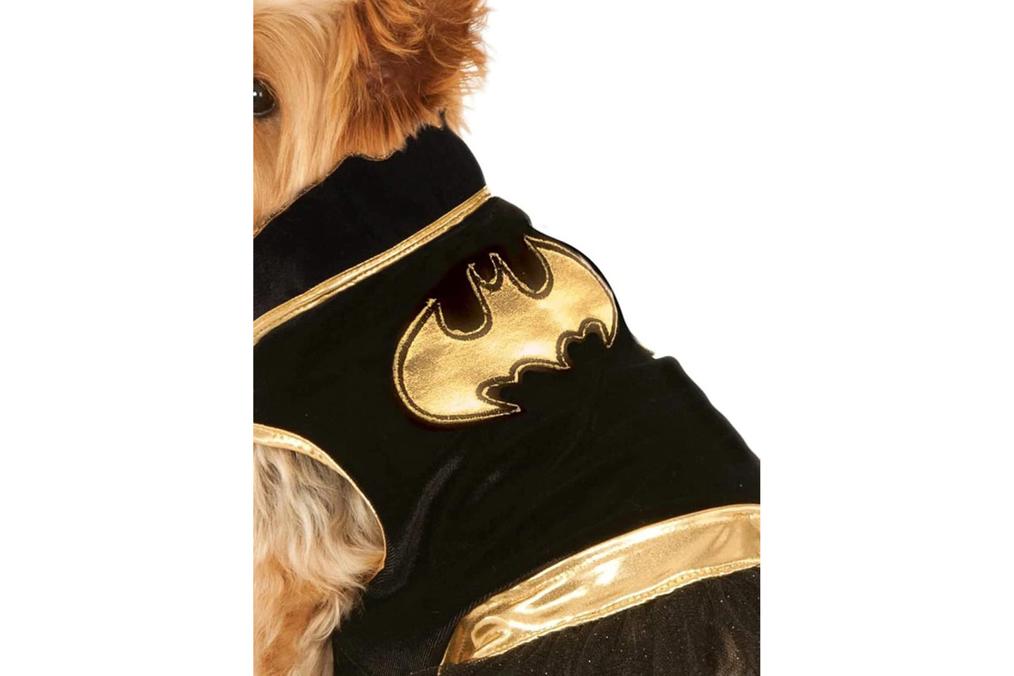 Dog Halloween Costumes | Batgirl Tutu Dress
