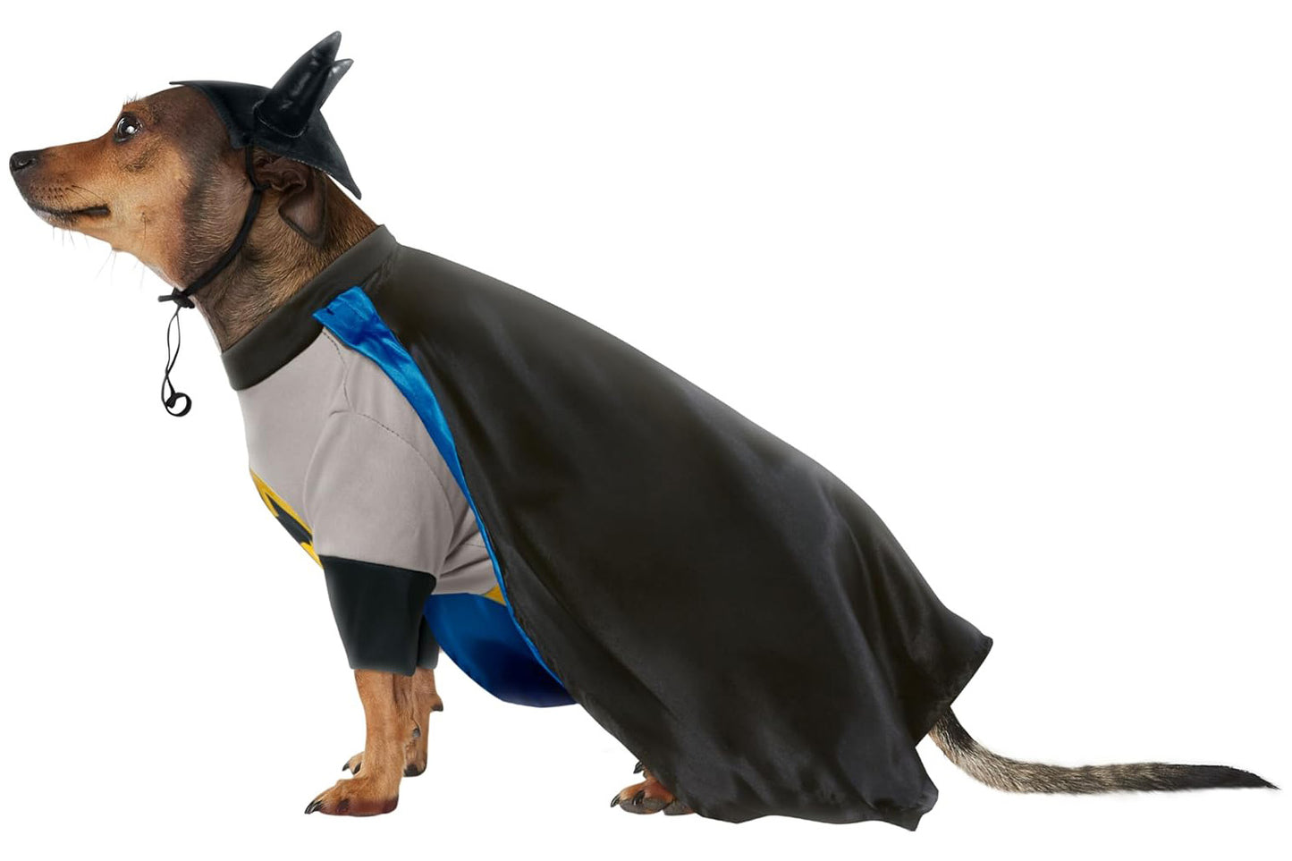 Dog Halloween Costumes | Batman