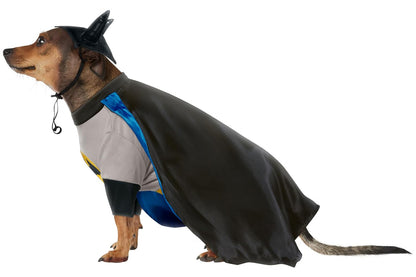 Dog Halloween Costumes | Batman
