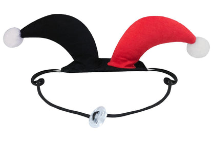 Dog Halloween Costumes | Harley Quinn