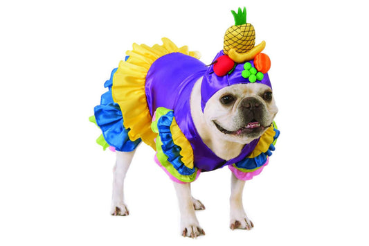 Dog Halloween Costumes | Brazilian Bombshell