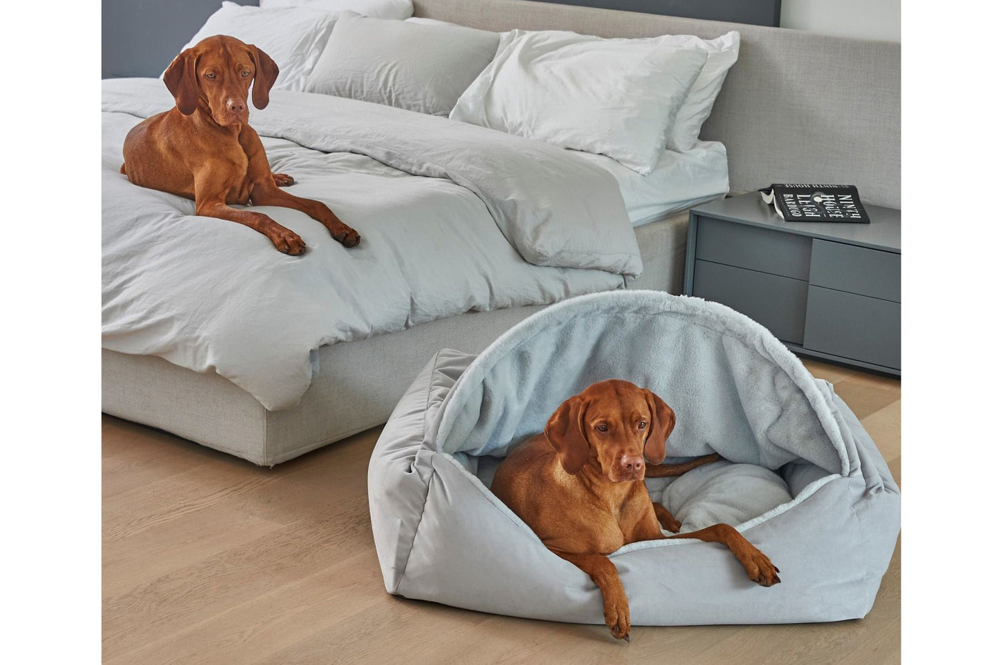 Canopy Bed - Cloud - Dog Bed