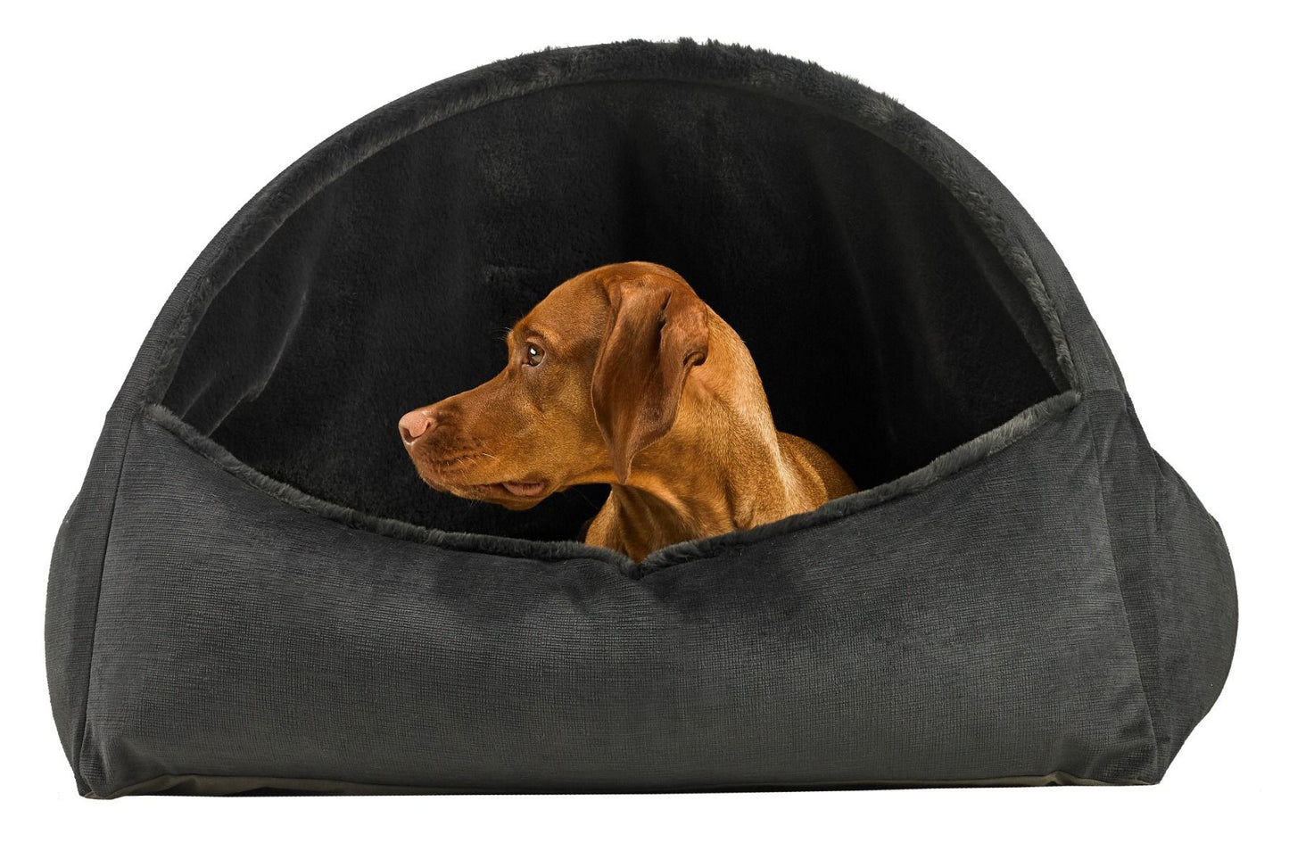 Canopy Bed - Galaxy - Dog Bed