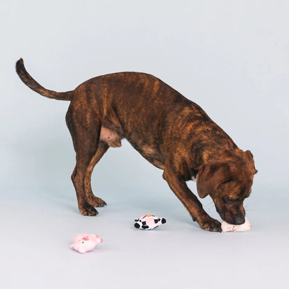 Dog Toy - Needle In The Haystack Mini Toys - 3 Options