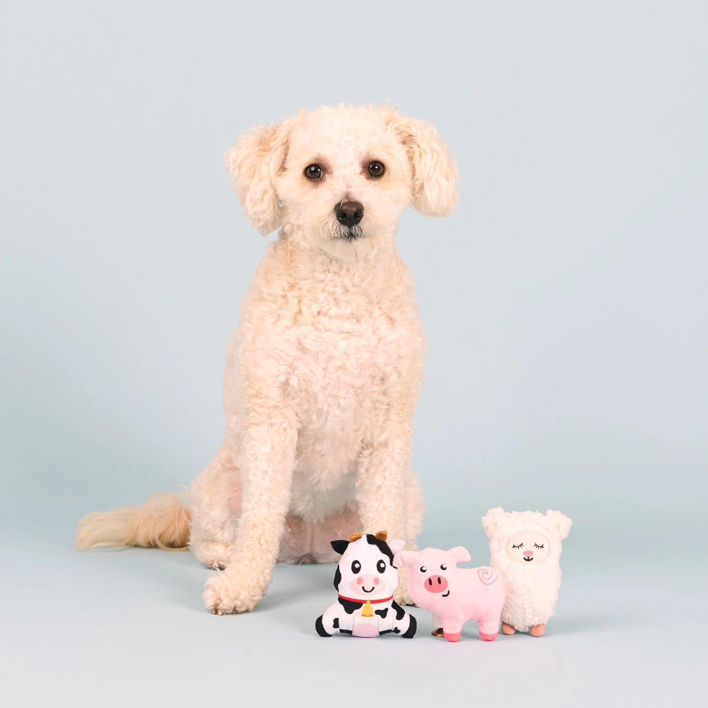 Dog Toy - Needle In The Haystack Mini Toys - 3 Options