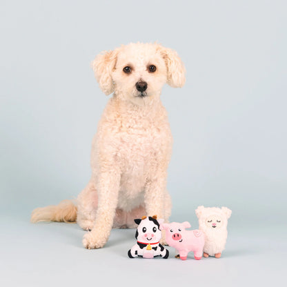 Dog Toy - Needle In The Haystack Mini Toys - 3 Options