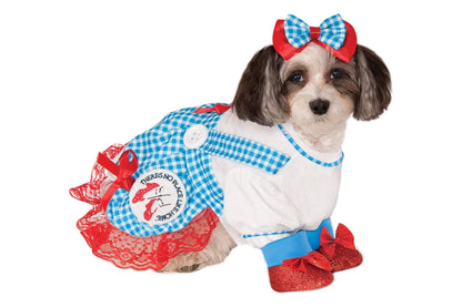 Dog Halloween Costumes | Dorothy