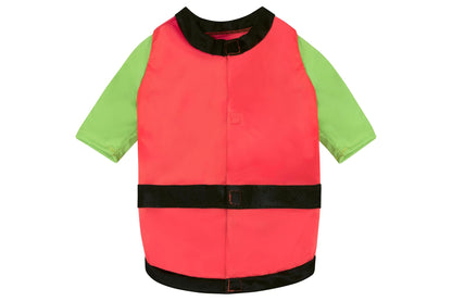 Dog Halloween Costumes | Robin