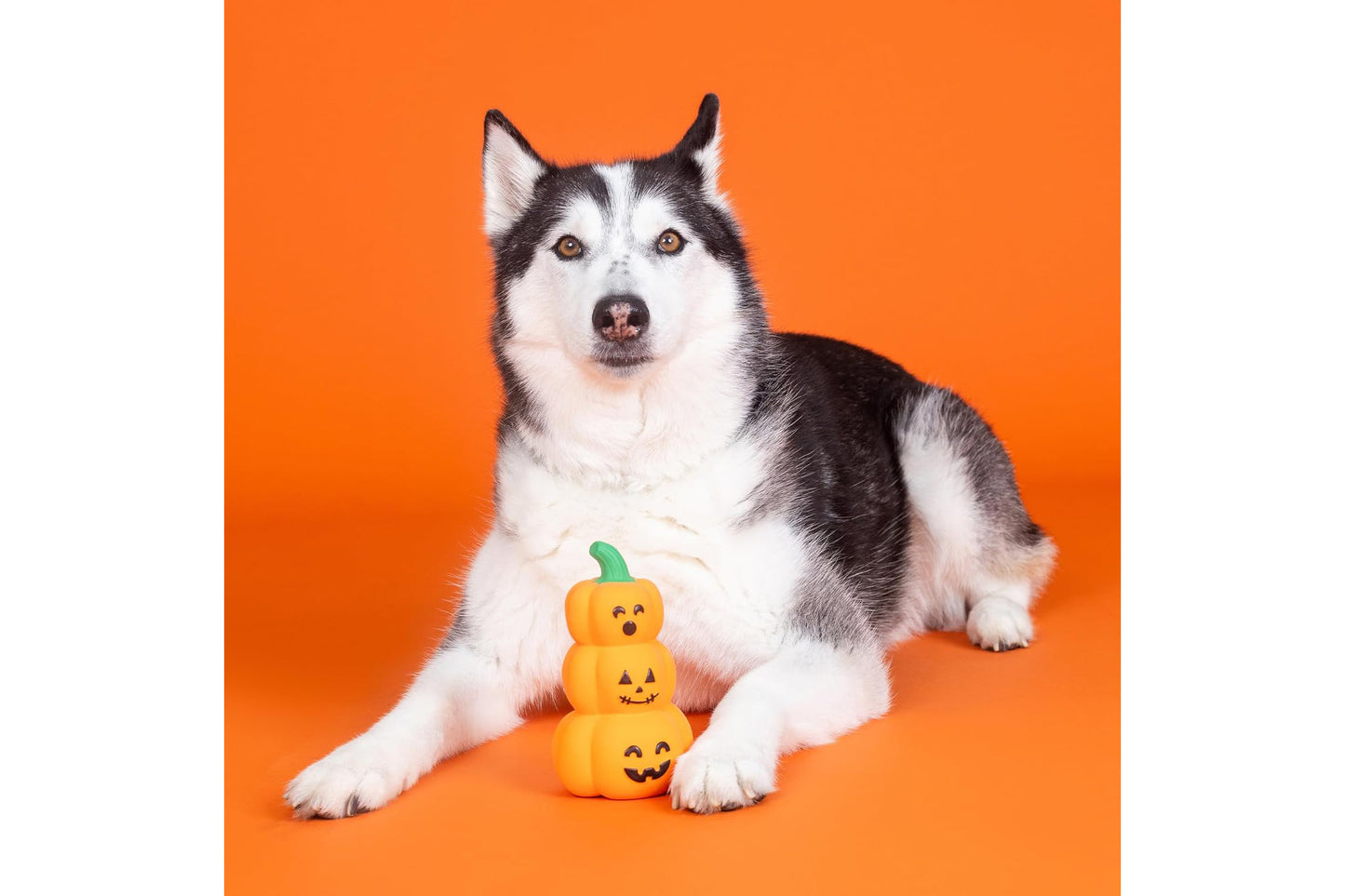 Halloween - Go Big Or Gourd Home Latex Dog Toy