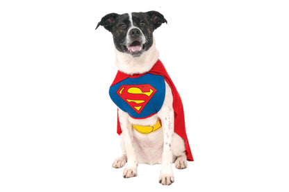 Dog Halloween Costumes | Superman Classic