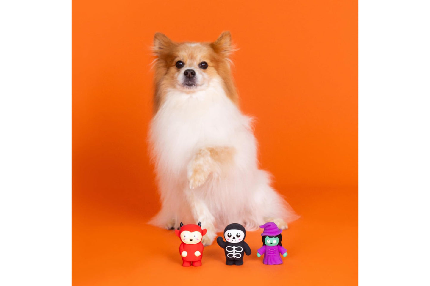 Halloween - Fright This Way Latex Dog Toy