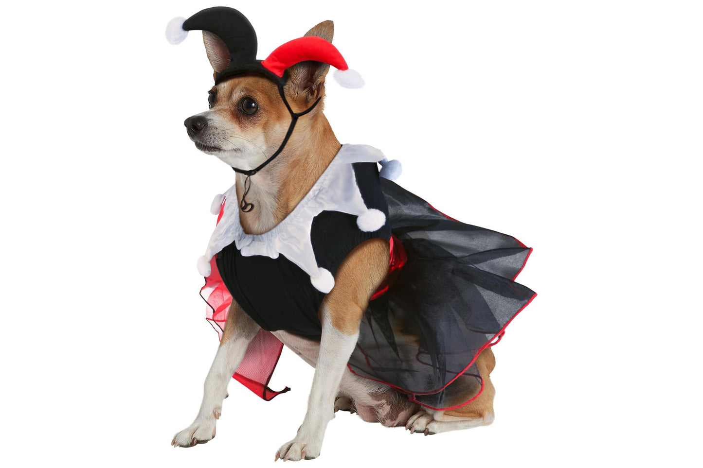 Dog Halloween Costumes | Harley Quinn