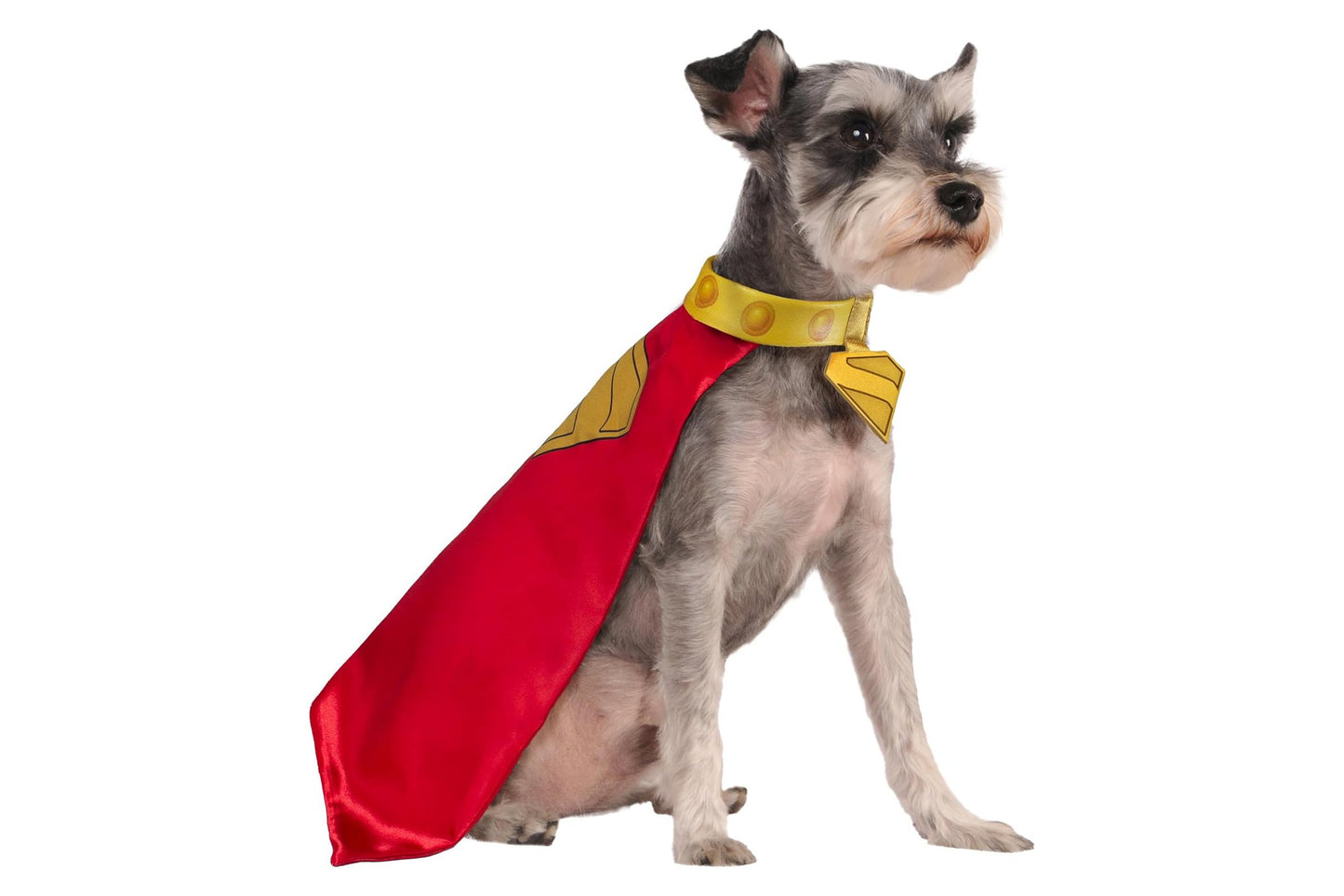 Dog Halloween Costumes | Krypto Pet Cape & Collar