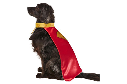 Dog Halloween Costumes | Krypto Pet Cape & Collar