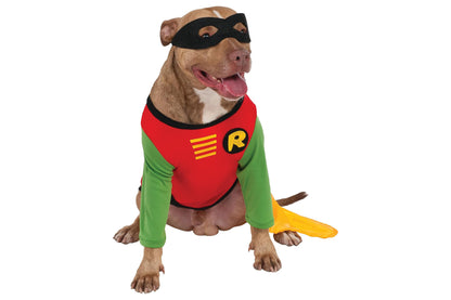 Dog Halloween Costumes | Robin