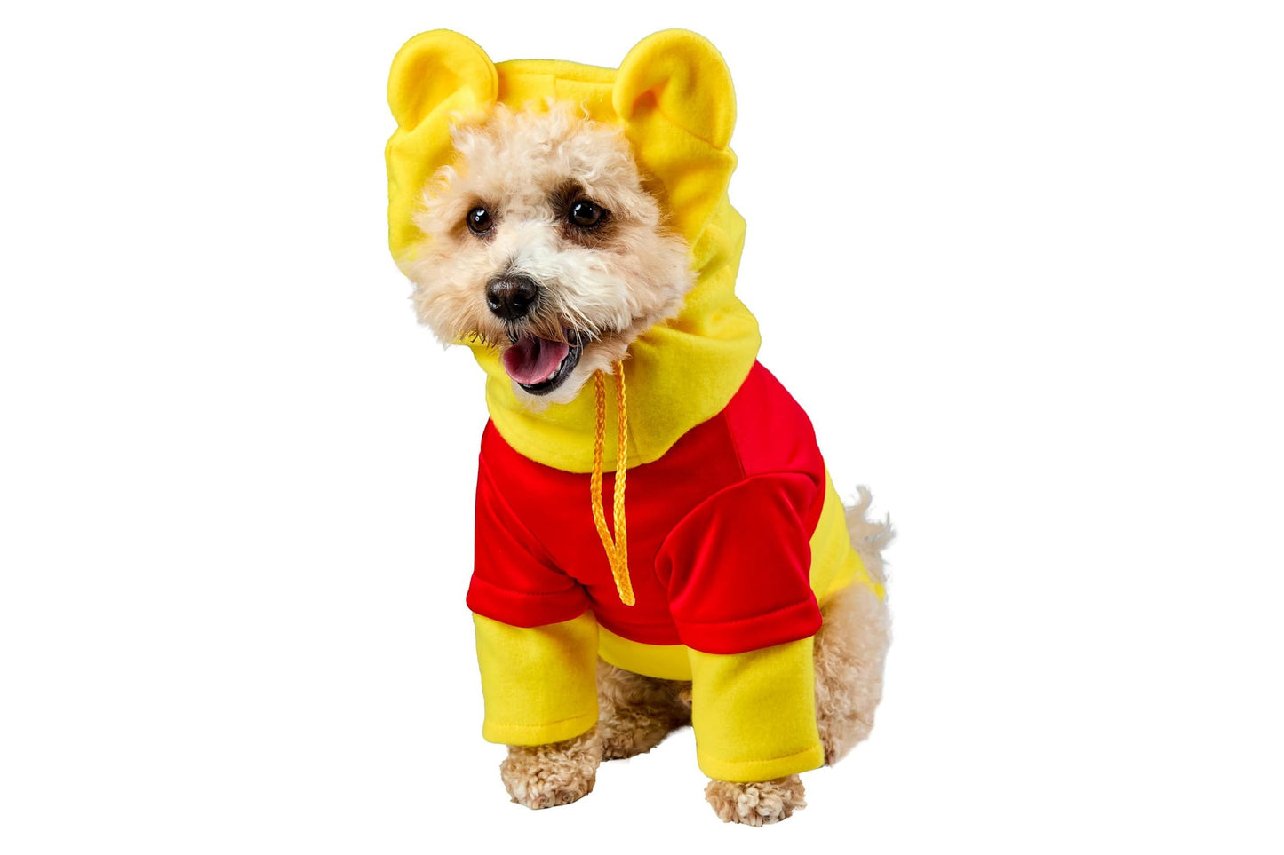 Dog Halloween Costumes | Pooh