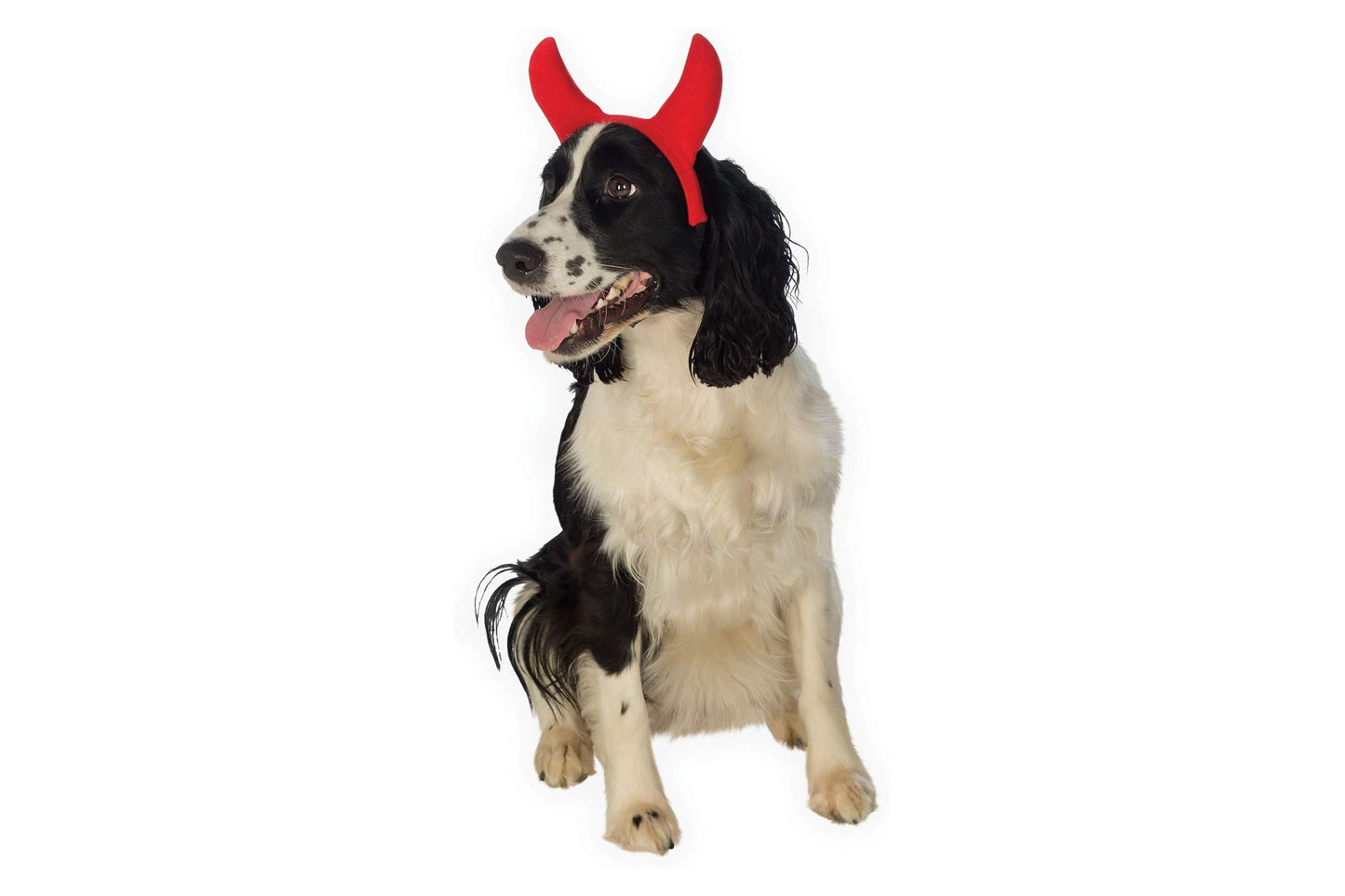 Dog Halloween Costumes | Devil Horns