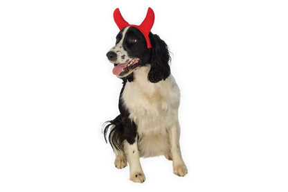 Dog Halloween Costumes | Devil Horns