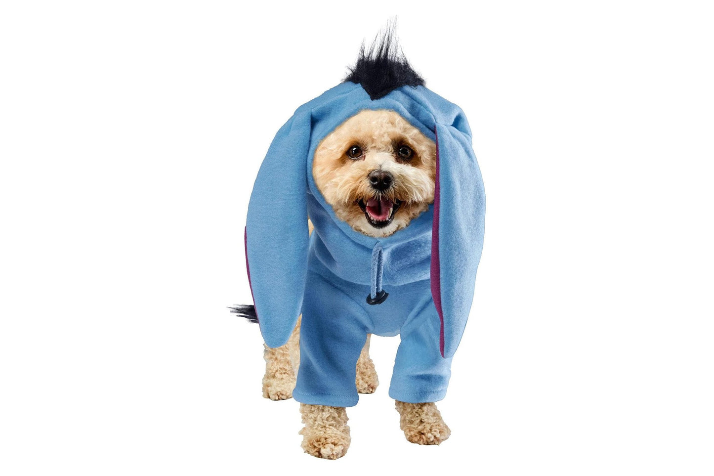 Dog Halloween Costumes | Eeyore