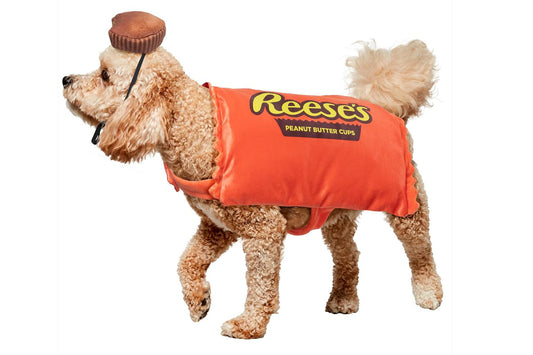 Dog Halloween Costumes | Reese's Peanut Butter Cup