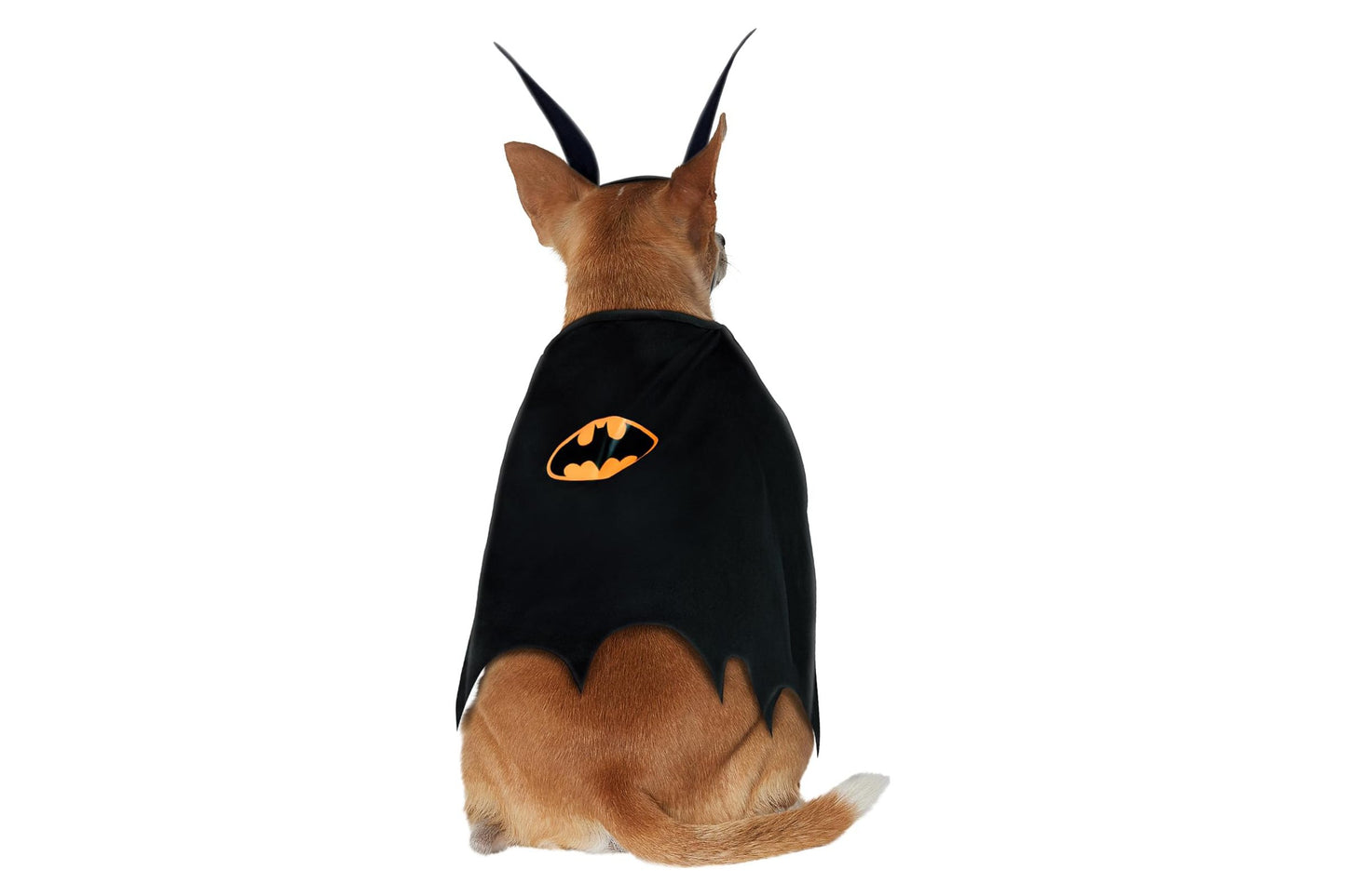 Dog Halloween Costumes | Batman Classic