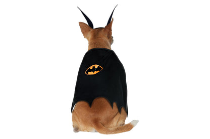 Dog Halloween Costumes | Batman Classic