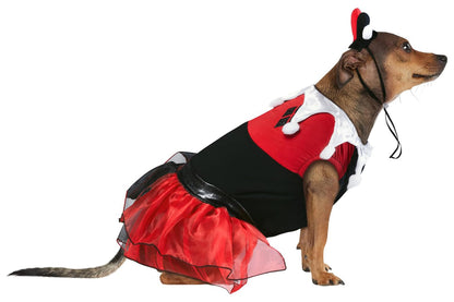 Dog Halloween Costumes | Harley Quinn