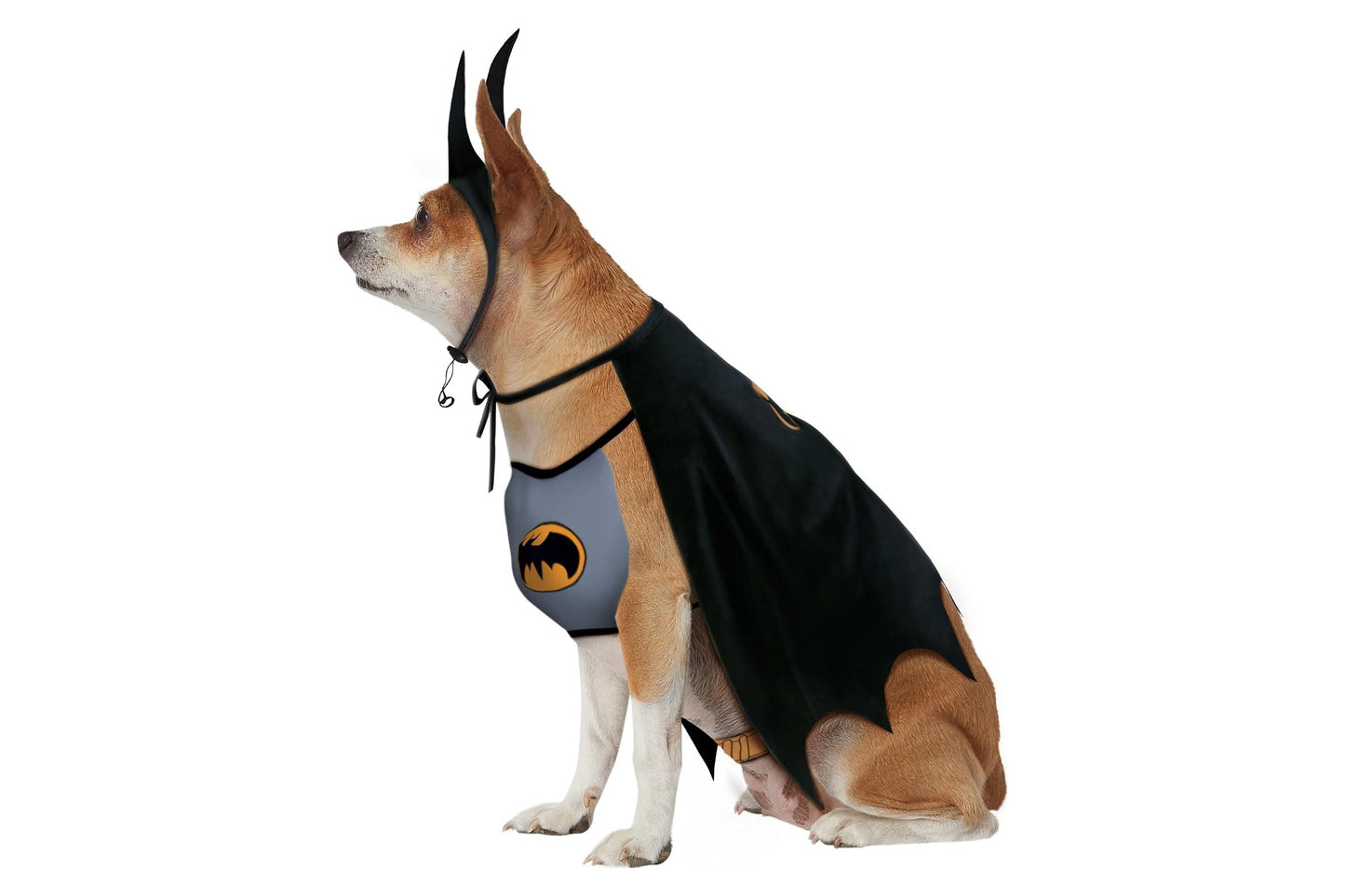 Dog Halloween Costumes | Batman Classic