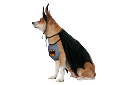 Dog Halloween Costumes | Batman Classic