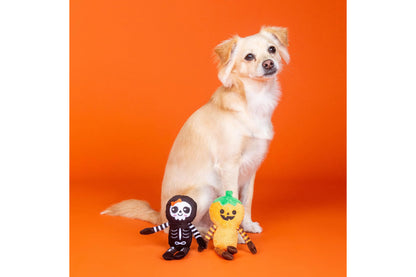 Halloween - Oh My Gourd - Pumpkin & Skeleton - Dog Toy