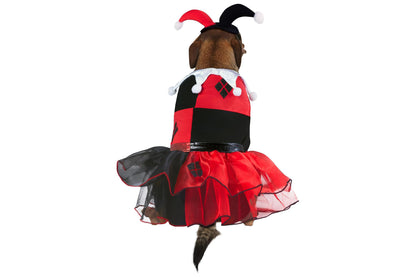 Dog Halloween Costumes | Harley Quinn