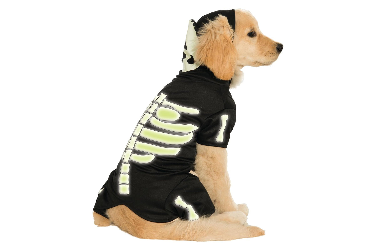 Dog Halloween Costumes | Glow In The Dark Skeleton