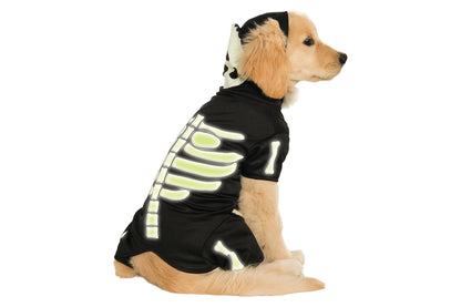 Dog Halloween Costumes | Glow In The Dark Skeleton