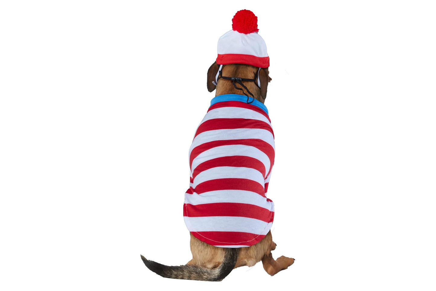 Dog Halloween Costumes | Where's Waldo Woof
