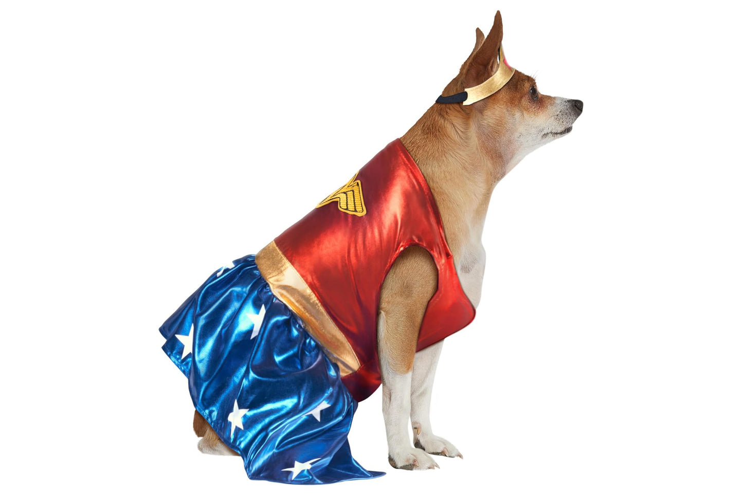 Dog Halloween Costumes | Wonder Woman