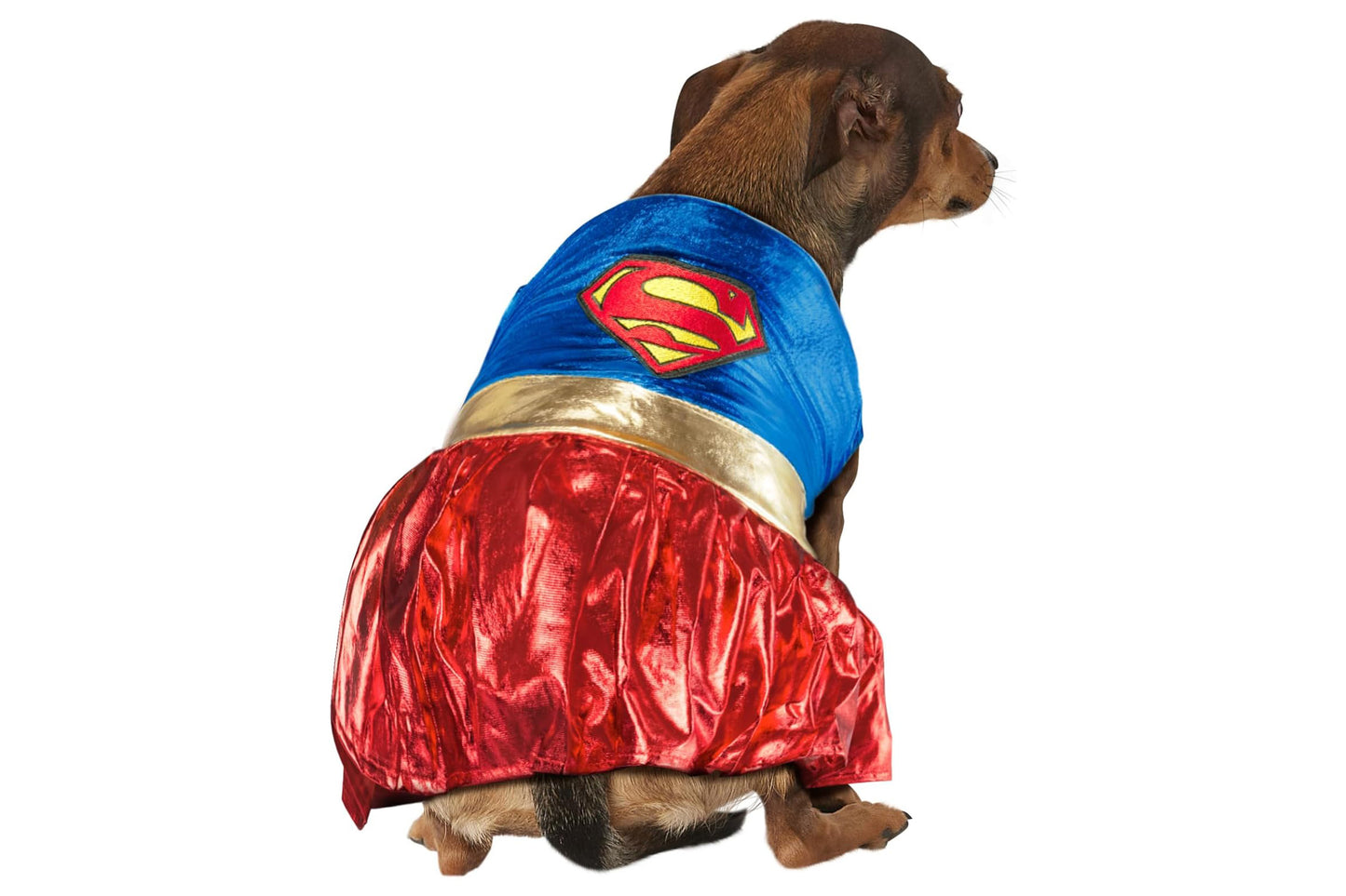 Dog Halloween Costumes | Supergirl