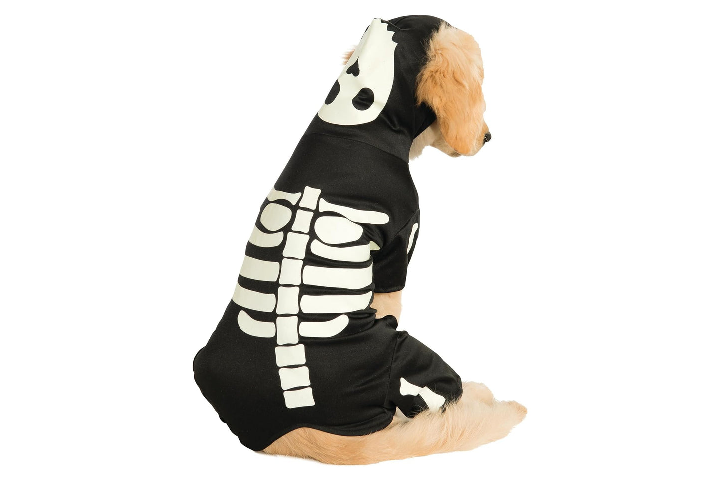 Dog Halloween Costumes | Glow In The Dark Skeleton