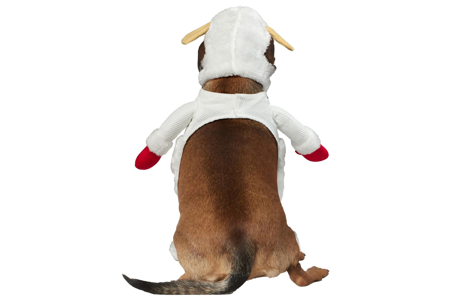 Dog Halloween Costumes | Lamb Chop